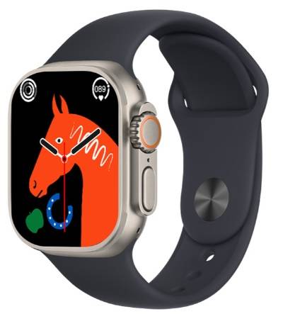 Hiwatch Pro T20 Pro Max- 2 Strap